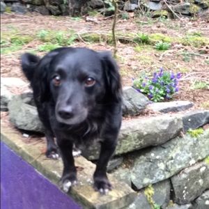 Meet your Posher, Nathan